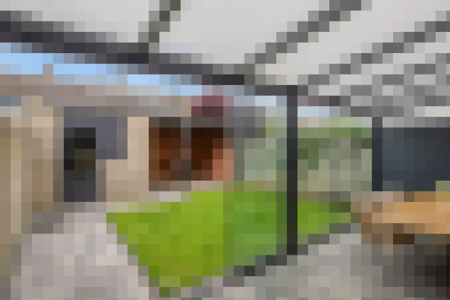 Zonnedauw 3 Valkenswaard thumbnail 13