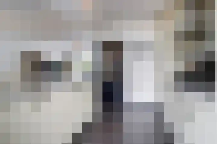 Zonnedauw 3 Valkenswaard thumbnail 13