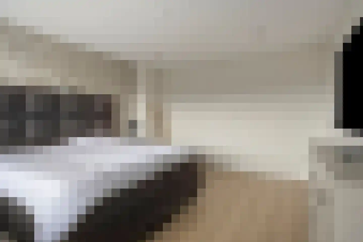 Zonnedauw 3 Valkenswaard thumbnail 18