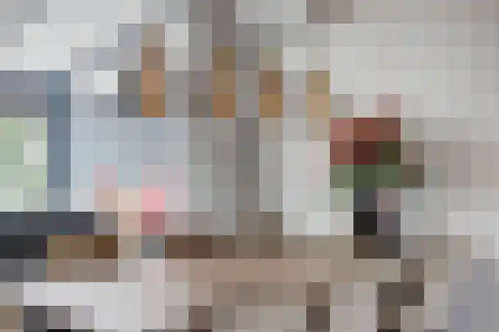 Zonnedauw 3 Valkenswaard thumbnail 18