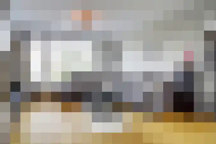 Zonnedauw 3 Valkenswaard thumbnail 20