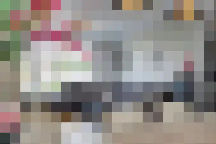 Zonnedauw 3 Valkenswaard thumbnail 21