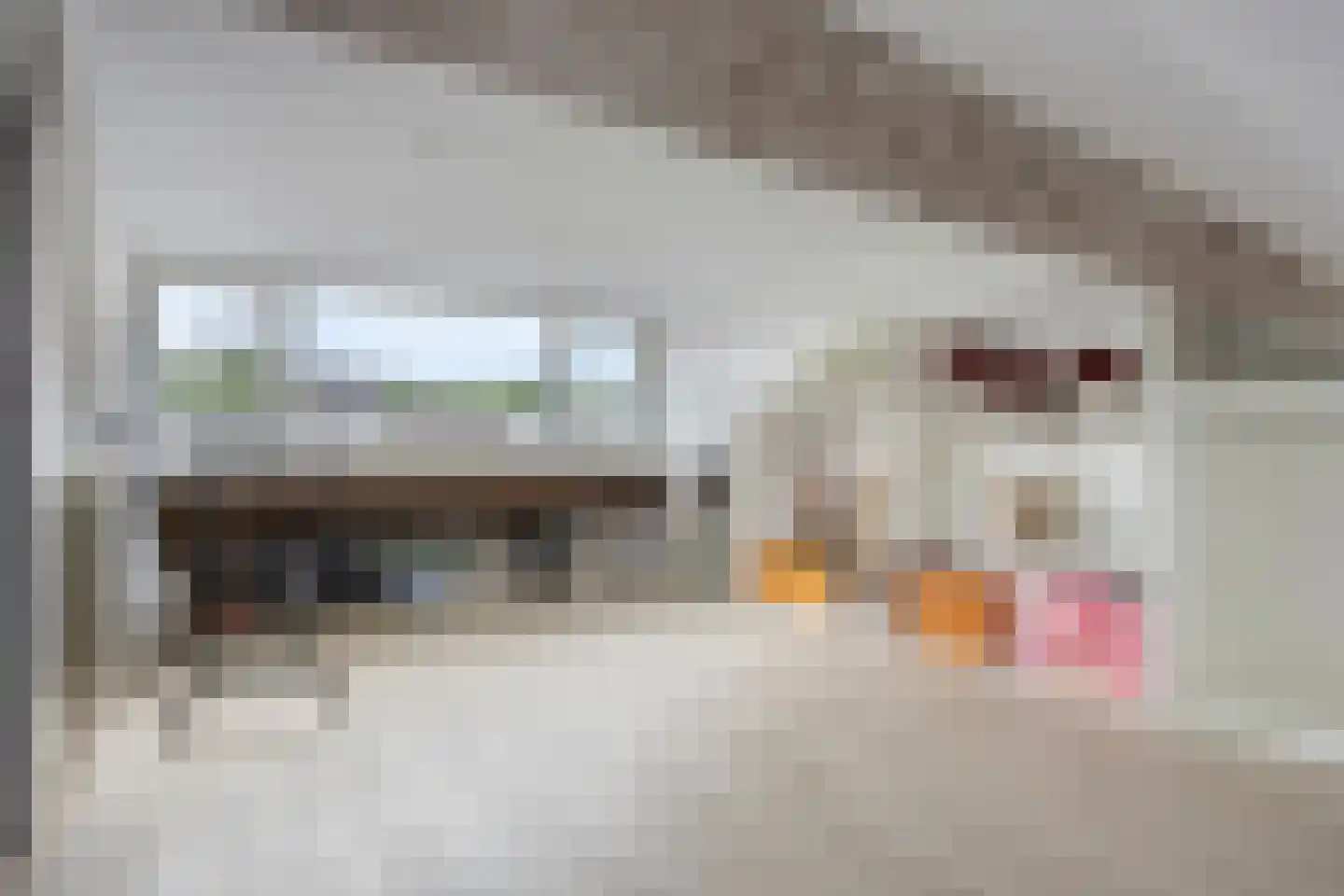 Zonnedauw 3 Valkenswaard thumbnail 24