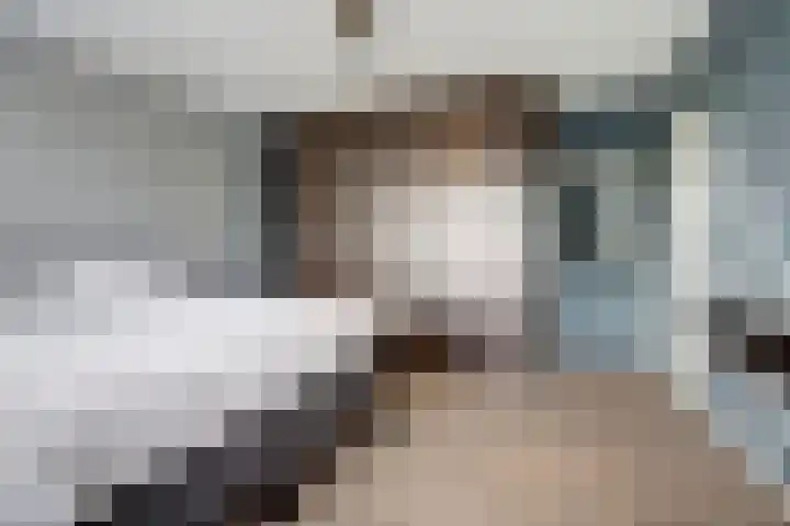 Zonnedauw 3 Valkenswaard thumbnail 27