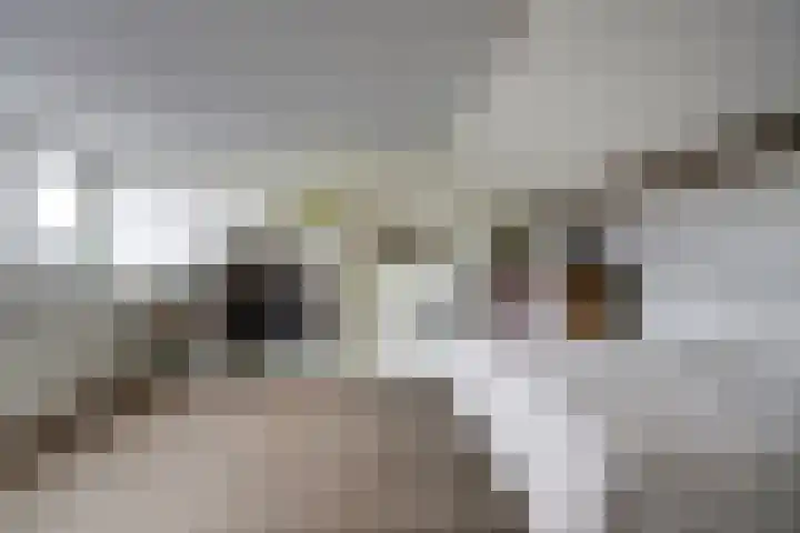 Zonnedauw 3 Valkenswaard thumbnail 36