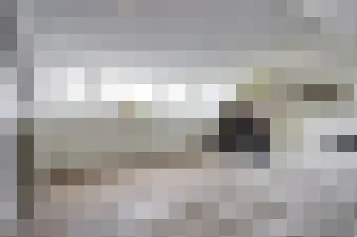 Zonnedauw 3 Valkenswaard thumbnail 39