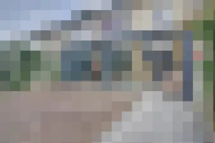 Zonnedauw 3 Valkenswaard thumbnail 4
