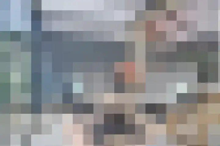 Zonnedauw 3 Valkenswaard thumbnail 43