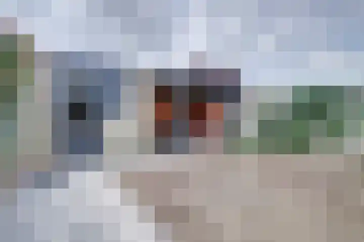 Zonnedauw 3 Valkenswaard thumbnail 45