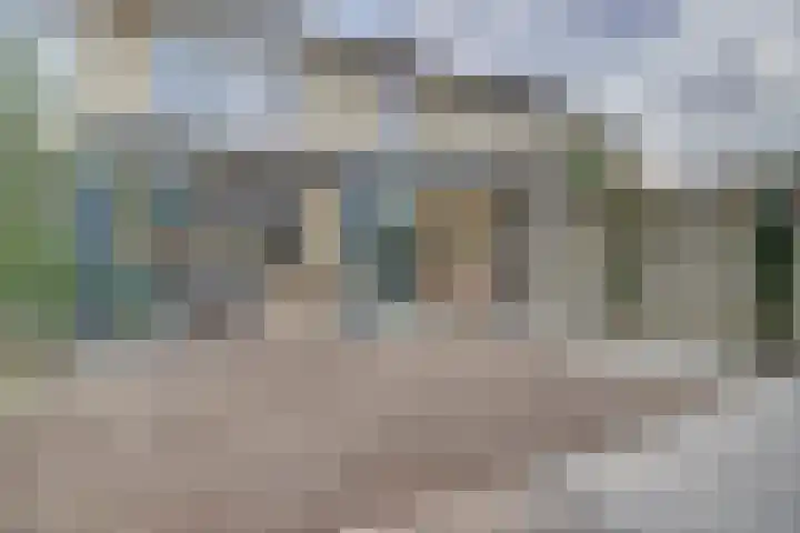 Zonnedauw 3 Valkenswaard thumbnail 49