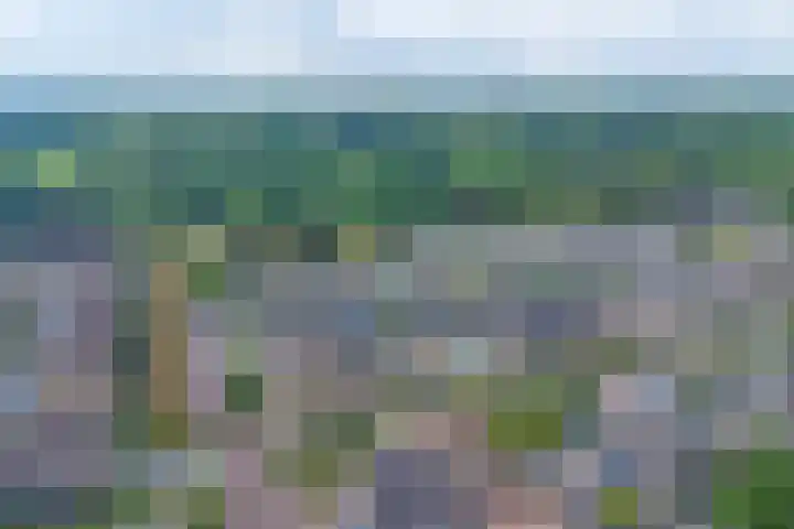 Zonnedauw 3 Valkenswaard thumbnail 5