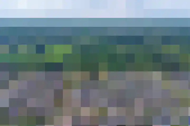 Zonnedauw 3 Valkenswaard thumbnail 52