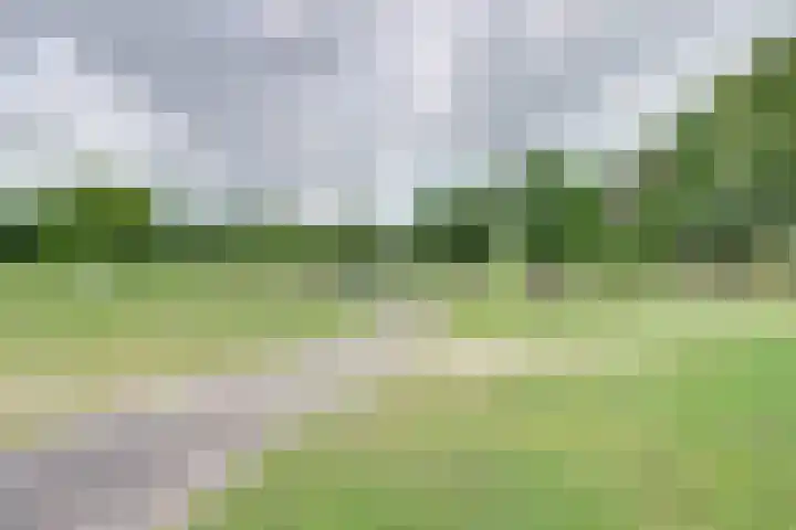 Zonnedauw 3 Valkenswaard thumbnail 53