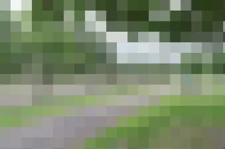 Zonnedauw 3 Valkenswaard thumbnail 54