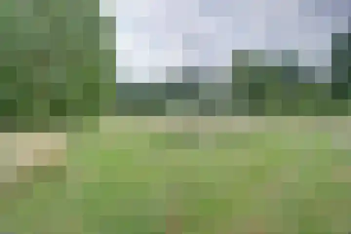 Zonnedauw 3 Valkenswaard thumbnail 55