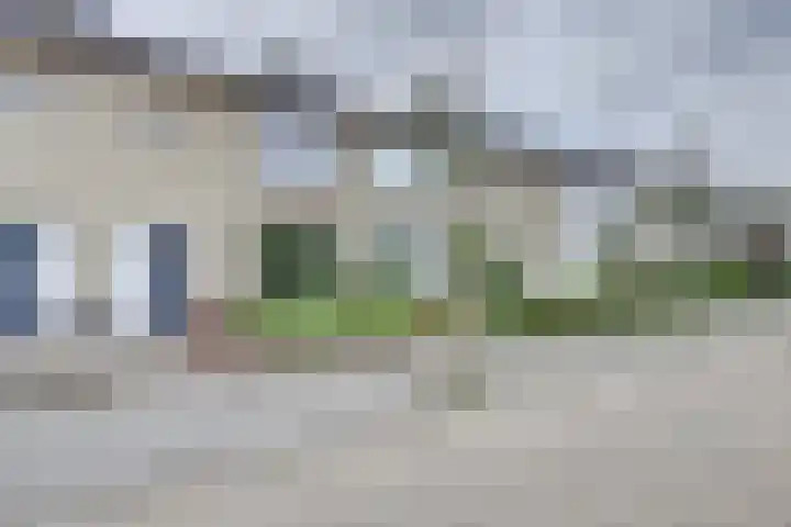 Zonnedauw 3 Valkenswaard thumbnail 6