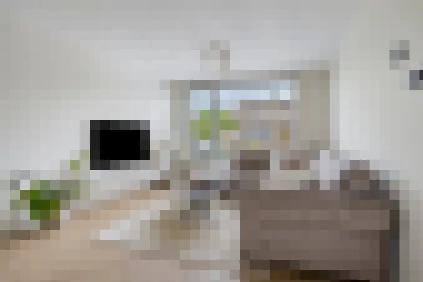 Zonnedauw 3 Valkenswaard thumbnail 7