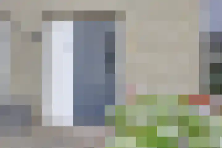 Zonnedauw 3 Valkenswaard thumbnail 7