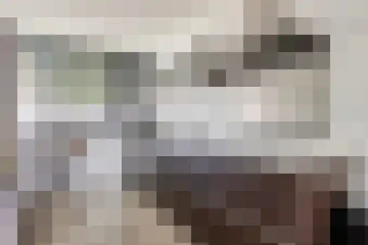 Zonnedauw 32 Prinsenbeek thumbnail 10