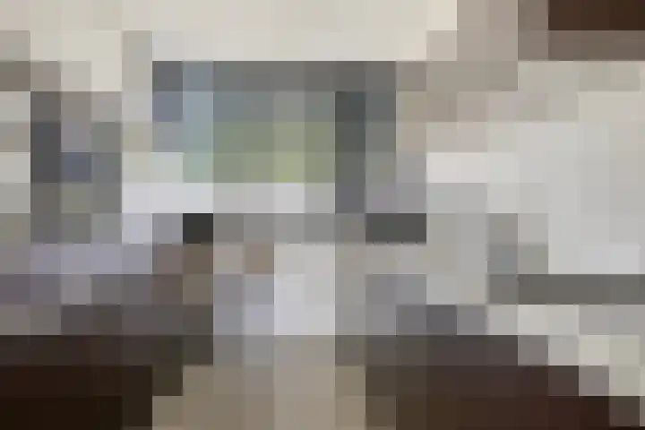Zonnedauw 32 Prinsenbeek thumbnail 11