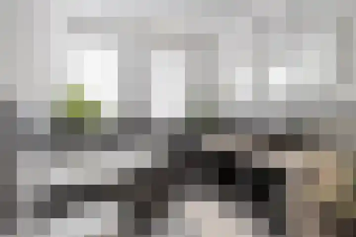 Zonnedauw 32 Prinsenbeek thumbnail 14