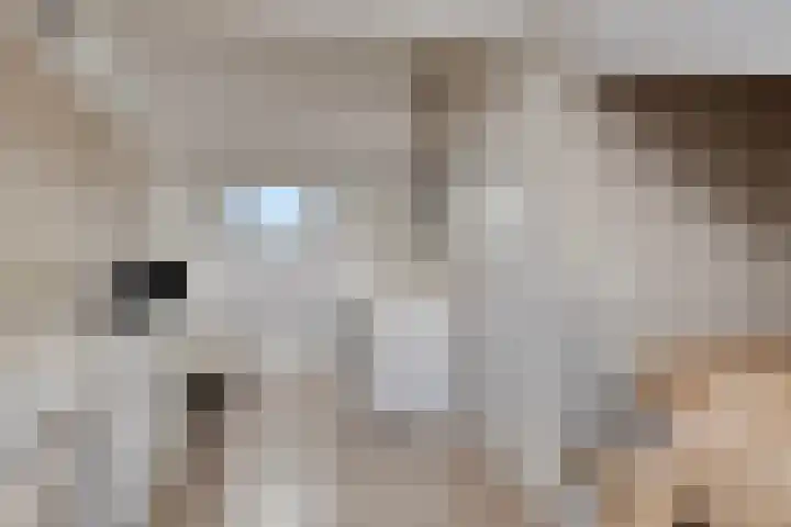 Zonnedauw 32 Prinsenbeek thumbnail 16
