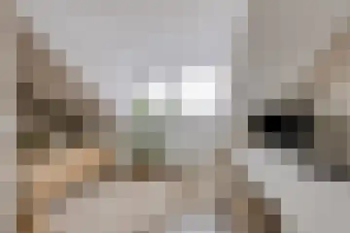 Zonnedauw 32 Prinsenbeek thumbnail 17
