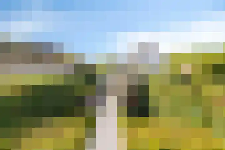 Zonnedauw 32 Prinsenbeek thumbnail 18