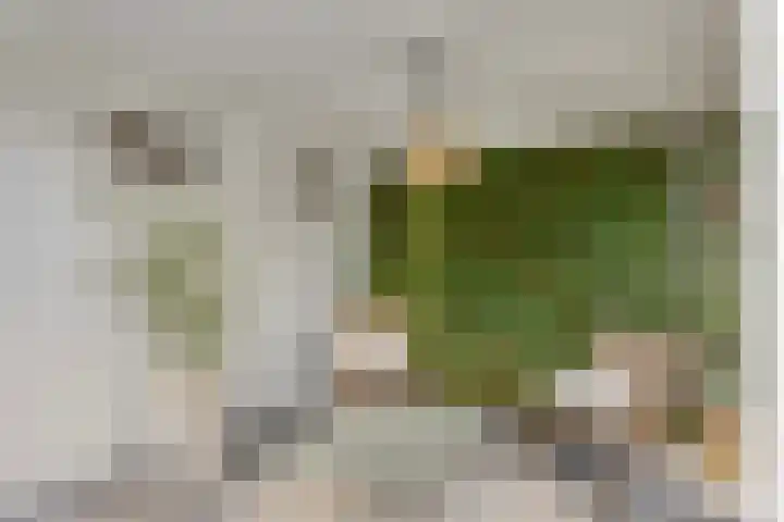 Zonnedauw 32 Prinsenbeek thumbnail 19