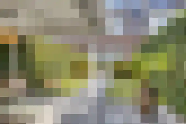 Zonnedauw 32 Prinsenbeek thumbnail 20