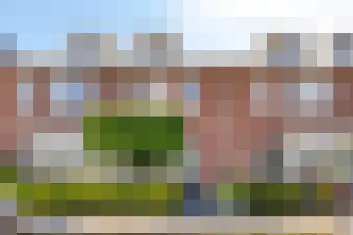 Zonnedauw 32 Prinsenbeek thumbnail 22