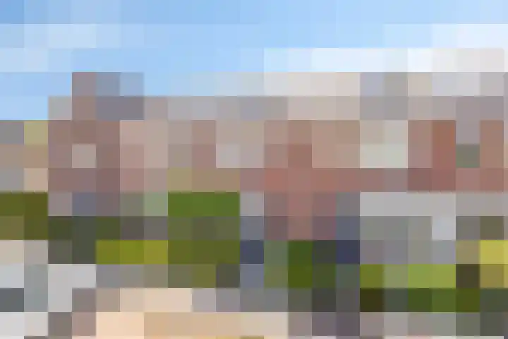 Zonnedauw 32 Prinsenbeek thumbnail 23