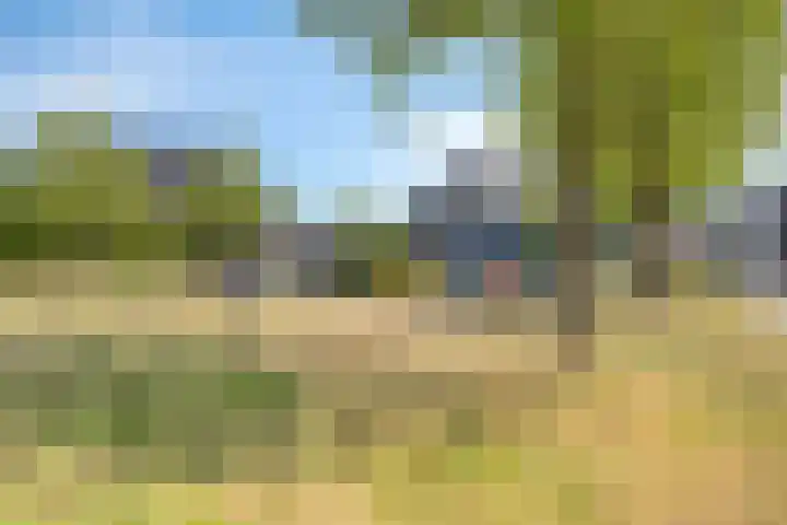 Zonnedauw 32 Prinsenbeek thumbnail 25