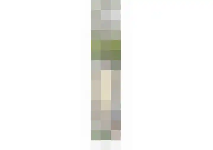 Zonnedauw 32 Prinsenbeek thumbnail 30