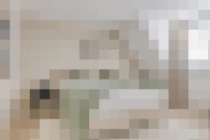 Zonnedauw 32 Prinsenbeek thumbnail 4