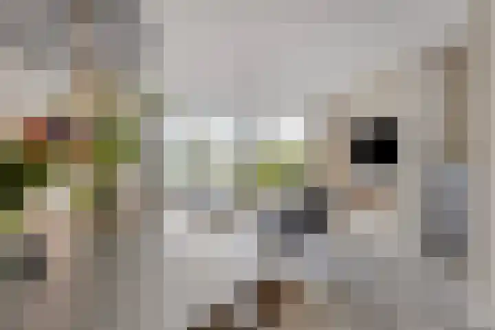 Zonnedauw 32 Prinsenbeek thumbnail 6