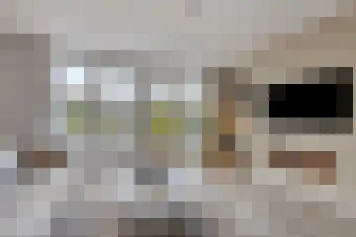 Zonnedauw 32 Prinsenbeek thumbnail 7