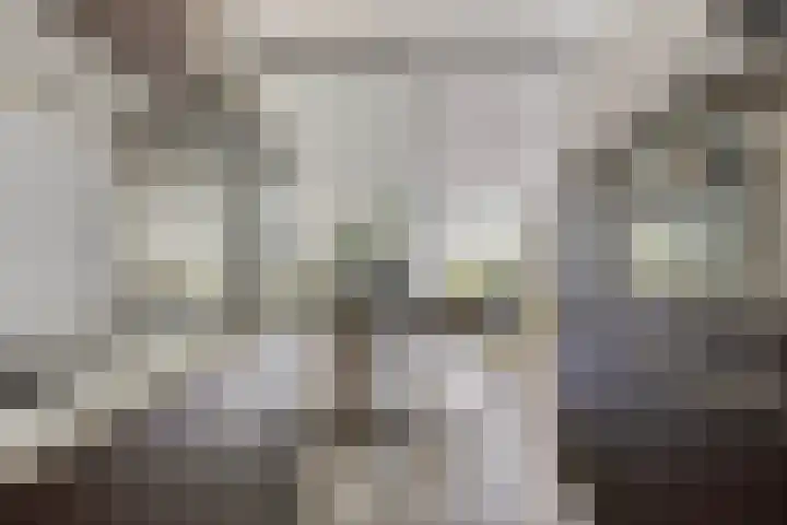 Zonnedauw 32 Prinsenbeek thumbnail 9