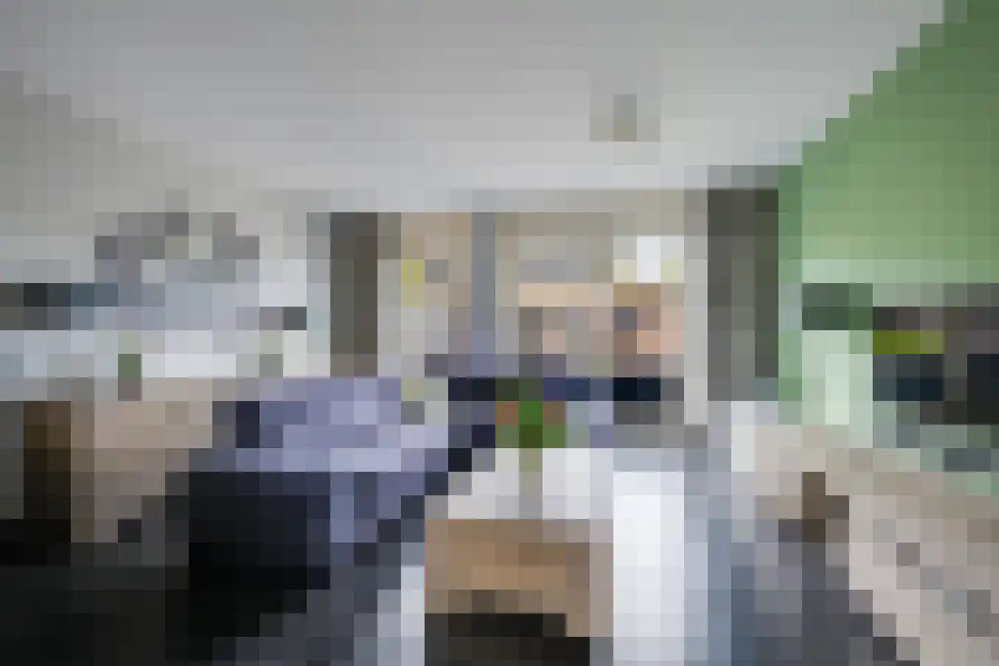 Zonnedauw 36 Prinsenbeek thumbnail 10