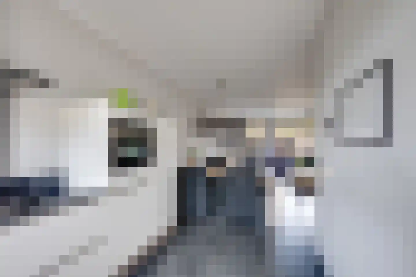 Zonnedauw 36 Prinsenbeek thumbnail 14