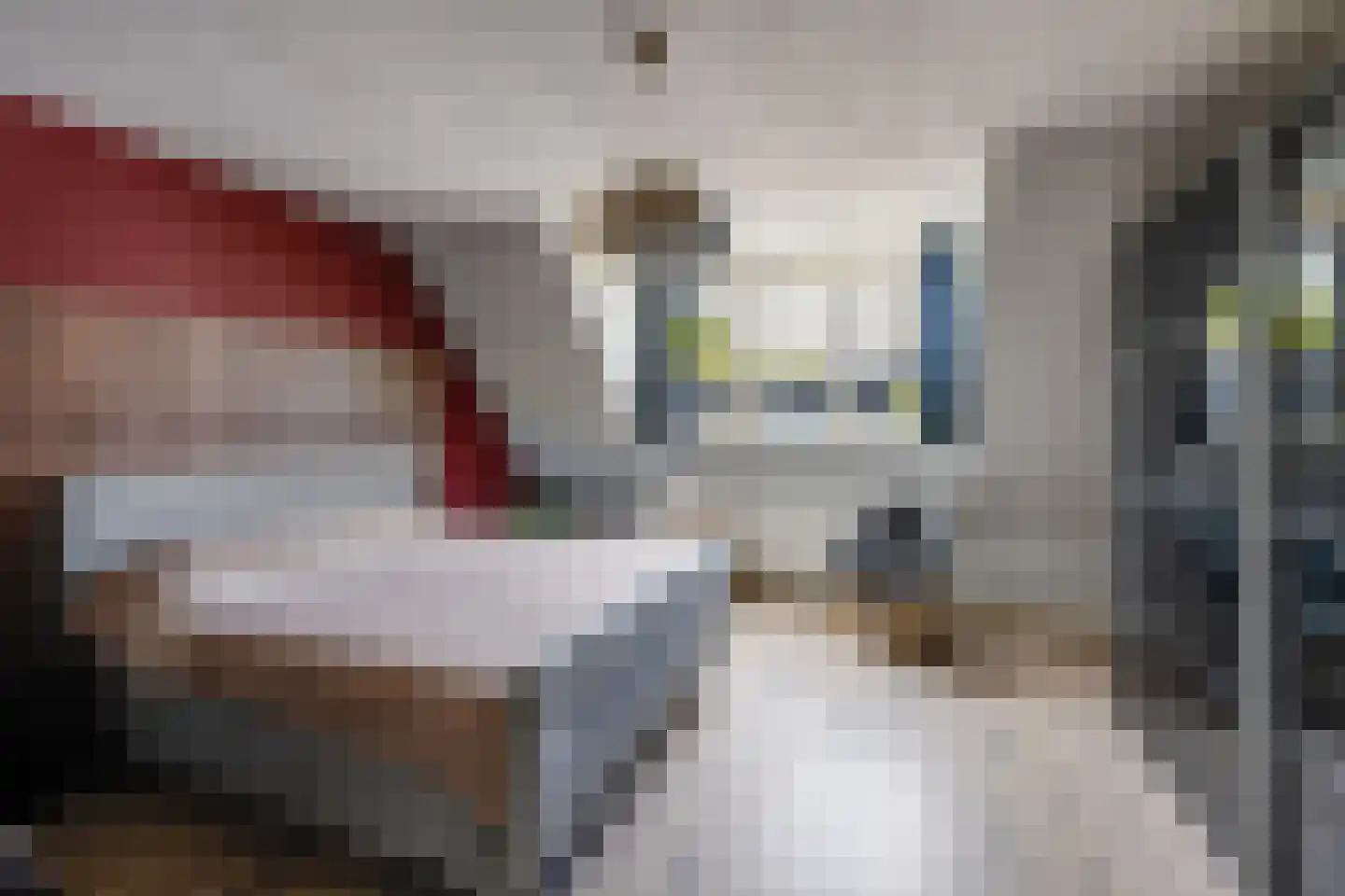 Zonnedauw 36 Prinsenbeek thumbnail 18