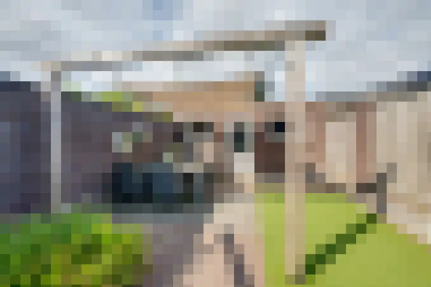 Zonnedauw 36 Prinsenbeek thumbnail 30