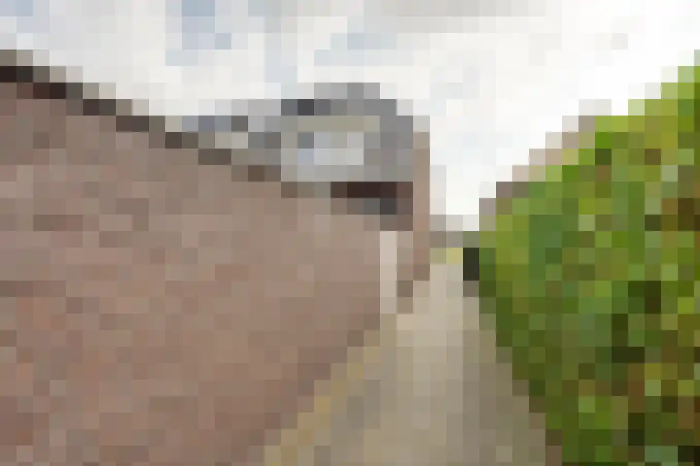 Zonnedauw 36 Prinsenbeek thumbnail 35