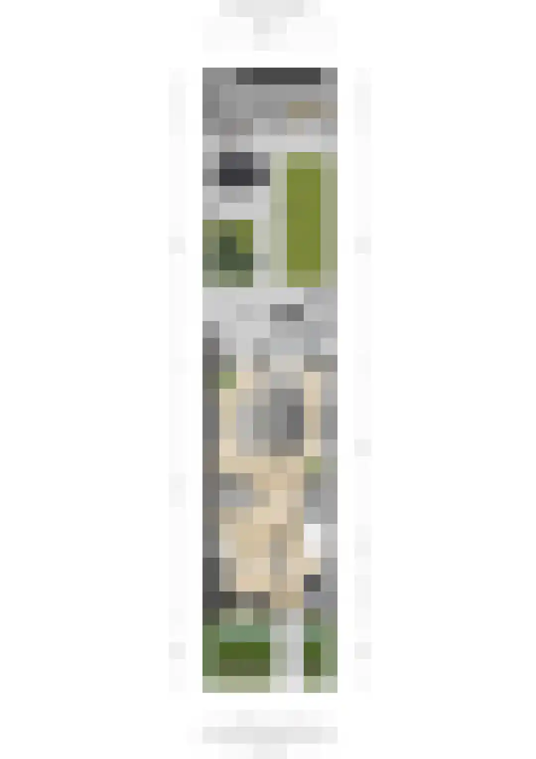 Zonnedauw 36 Prinsenbeek thumbnail 47