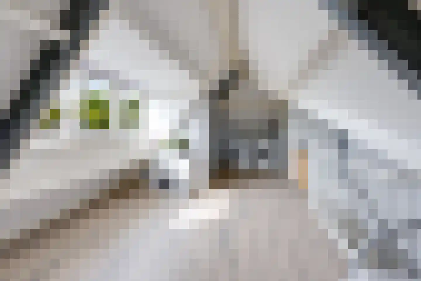 Zonnedauw 36 Prinsenbeek thumbnail 5
