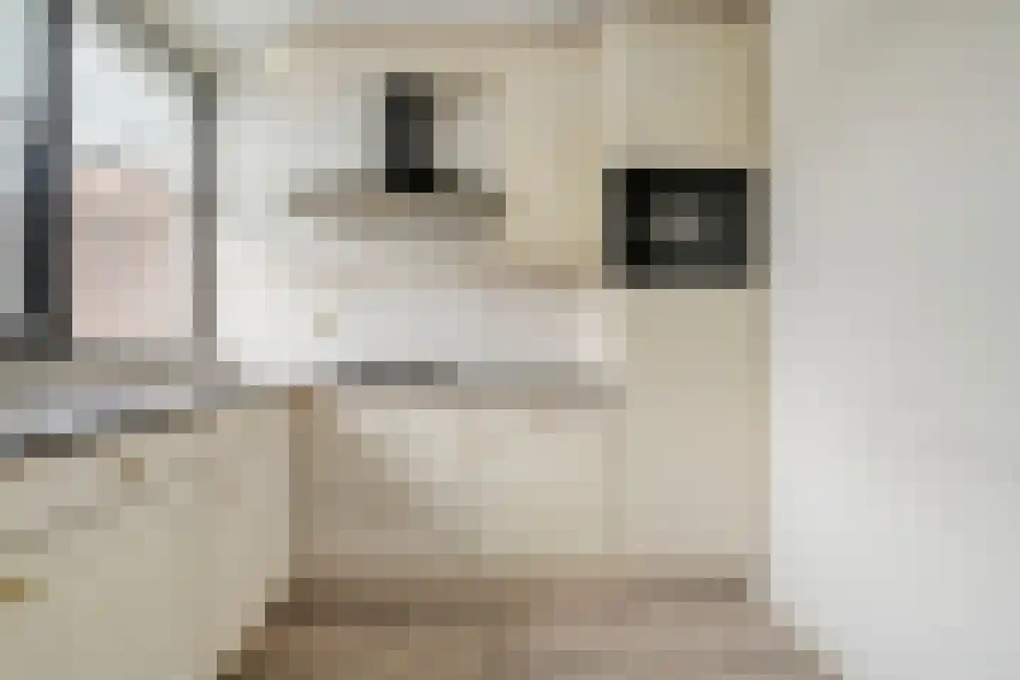 Zonnedauw 38 Nijverdal thumbnail 12