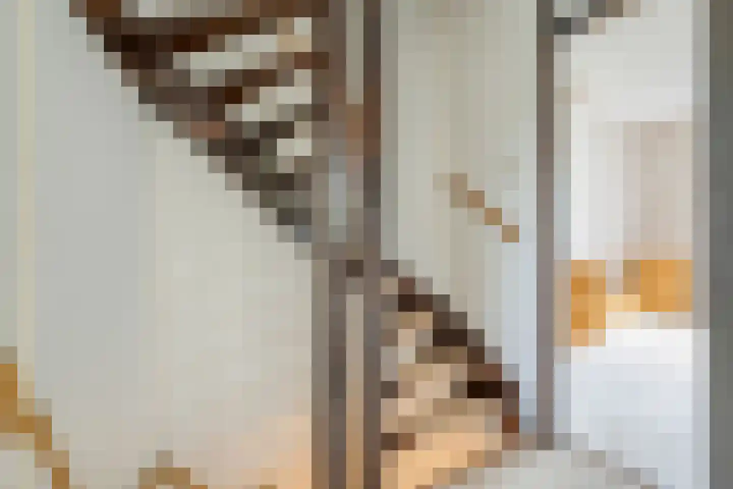 Zonnedauw 38 Nijverdal thumbnail 17