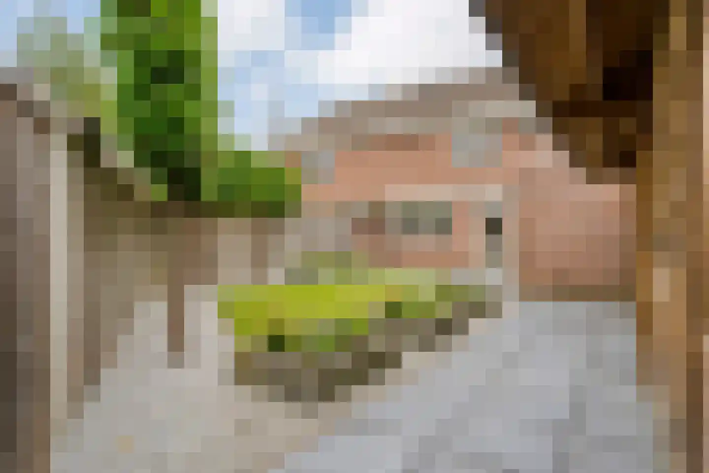 Zonnedauw 38 Nijverdal thumbnail 40
