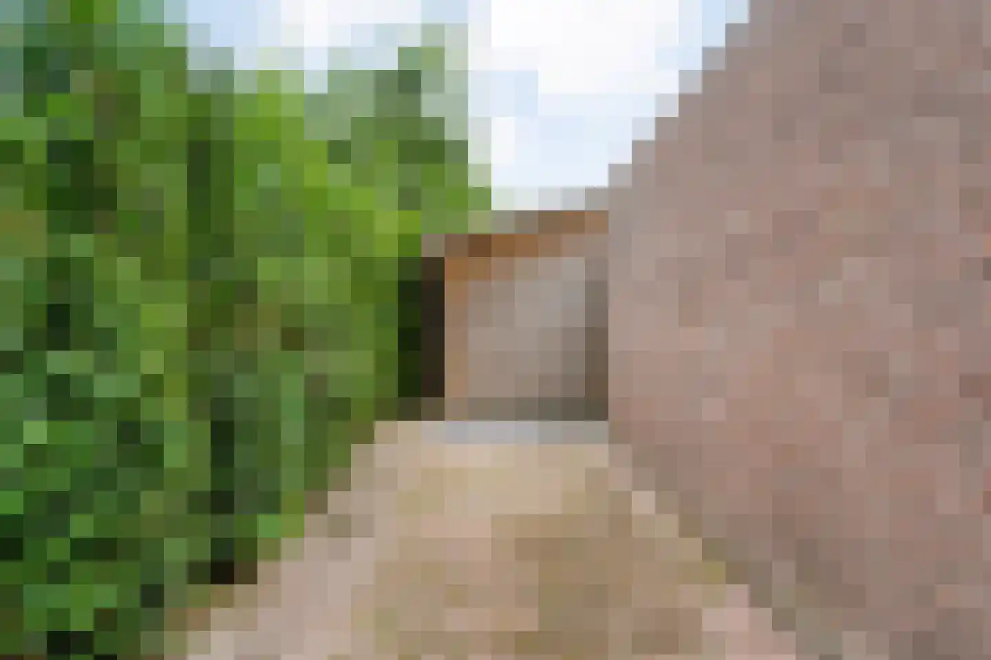 Zonnedauw 38 Nijverdal thumbnail 42
