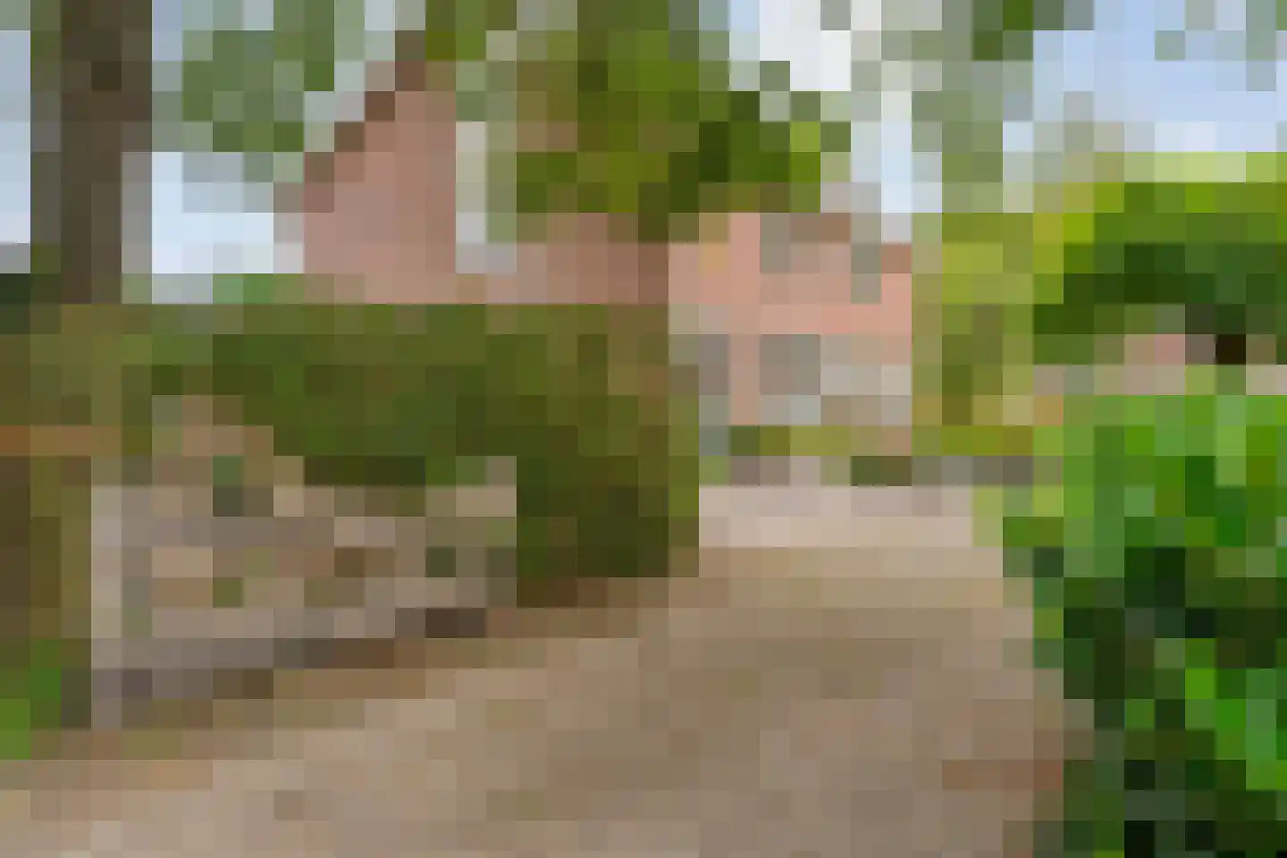 Zonnedauw 38 Nijverdal thumbnail 52